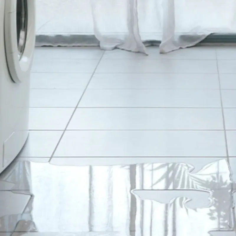 Appliance Leak Cleanup in Euclid, OH