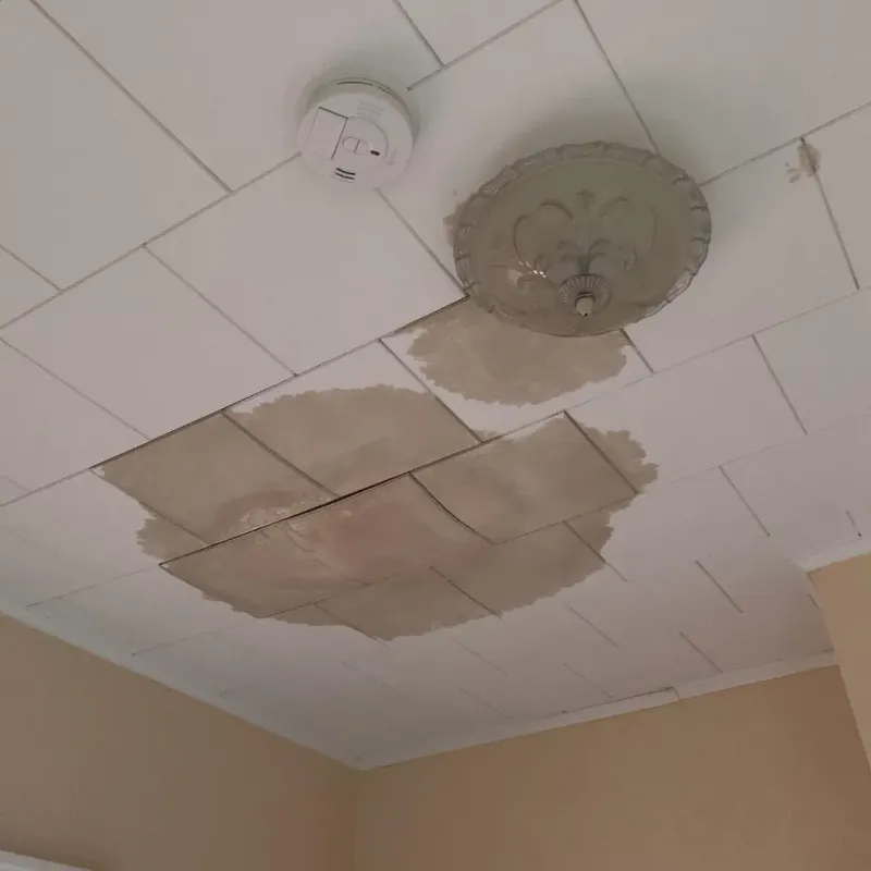 Ceiling Water Damage Repair in Euclid, OH
