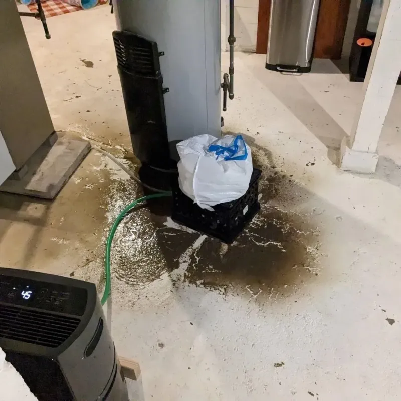 Sewage Backup Cleanup Service in Euclid, OH